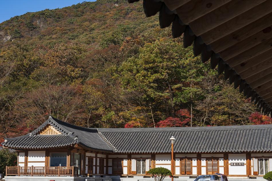 禪雲寺