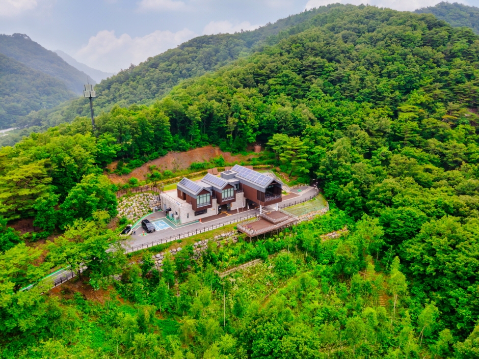 特別なK-森林セラピーを体験！国立チェチョン癒しの森 : 韓国観光公社