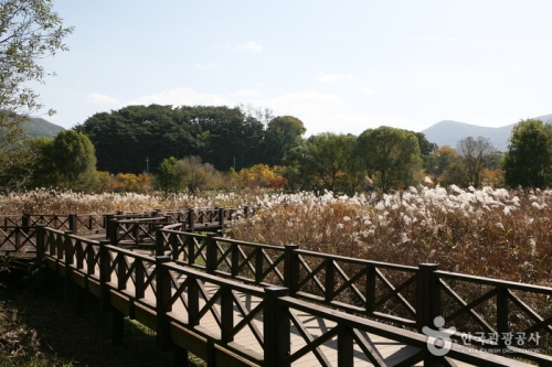 Gwangjuho Lake Eco Park 