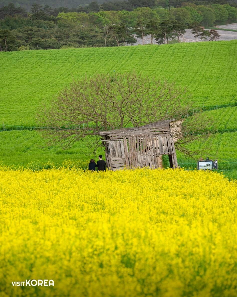 aaa