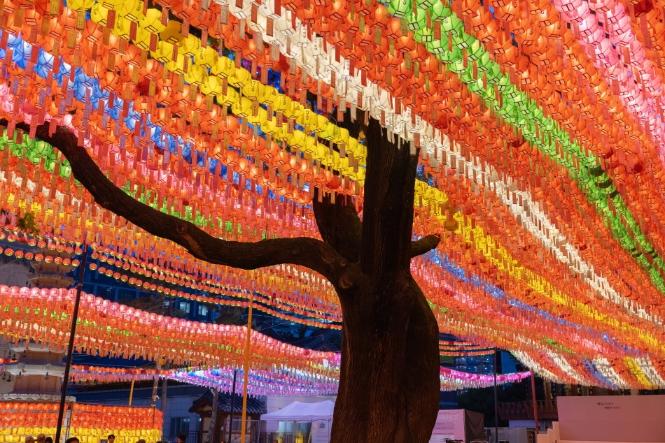 Techo decorado con faroles y el árbol en el centro