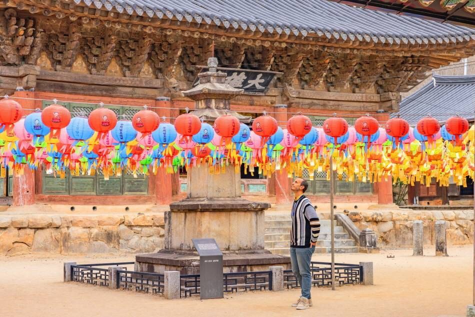 Faroles de loto en el Templo Seonamsa