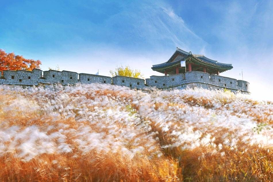 Autumn at Hwaseong Fortress