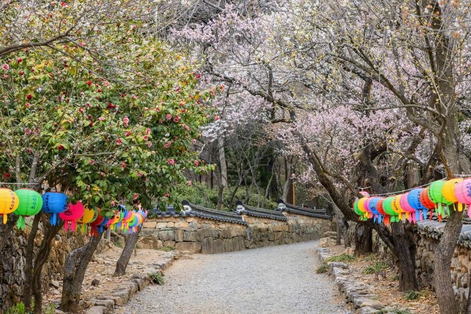 Un sendero con flores primaverales