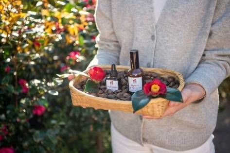 Jeju Dongbaek Village