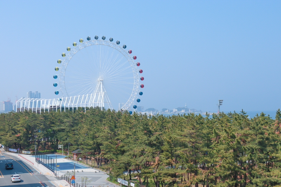 Sokcho Eye, a large Ferris wheel