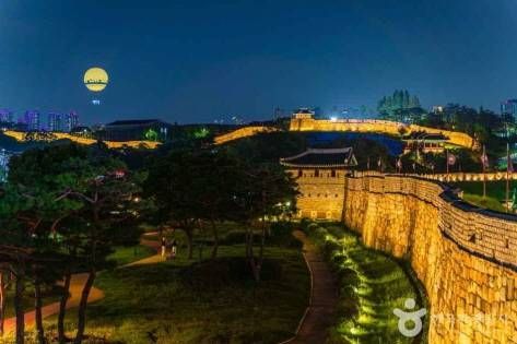 Night view of Hwaseong Fortress and Flying Suwon