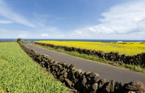 aaa