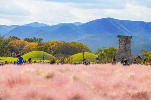 The Ultimate 2-Day Gyeongju Itinerary