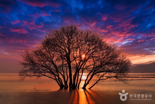 aaa 