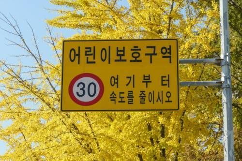 Tempo 30-Schild in Schulzonen 