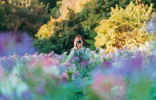 aaa 