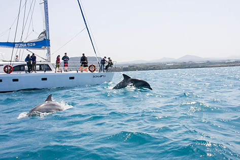 Gimnyeong Seogsegi Beach (top & left) and Gimnyeong Yacht Tour (right; credit: Jeju-si)