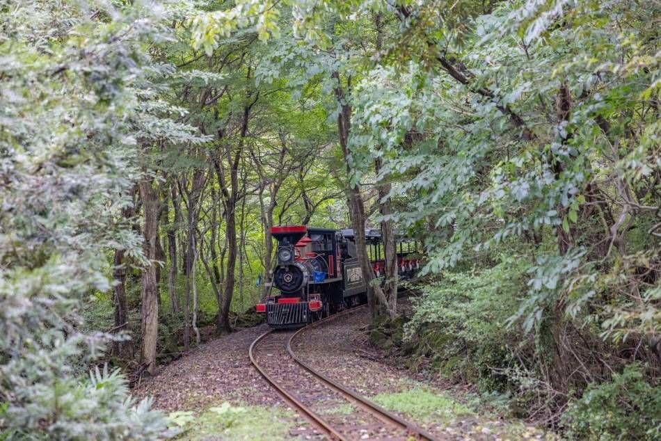 Экологический тематический парк Чечжу