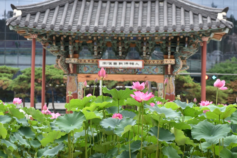 Bongeunsa Temple’s Iljumun Gate