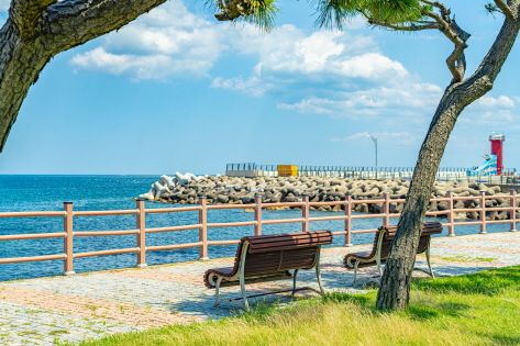 Sokcho Sunrise Park Trail