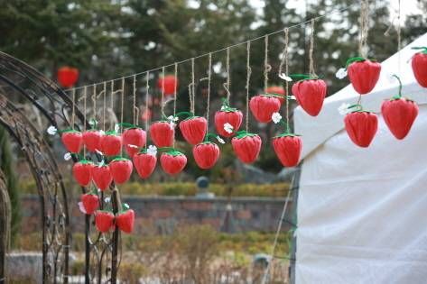 Nonsan Strawberry Festival