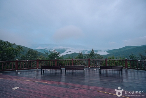 aaa