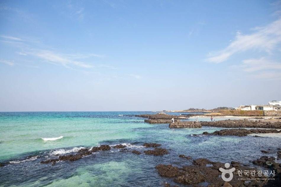 细花海边