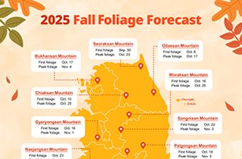 2025 Fall Foliage Forecast