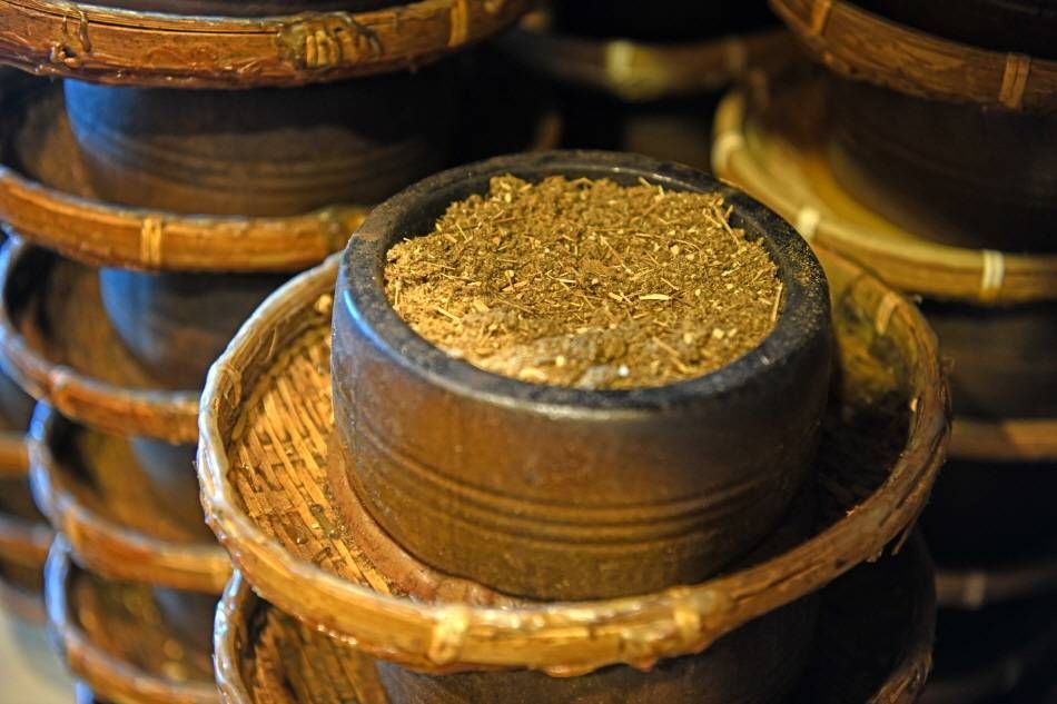 Корейская полынь Канхва в емкости для моксотерапии