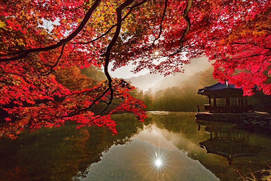 内蔵山羽化亭の秋