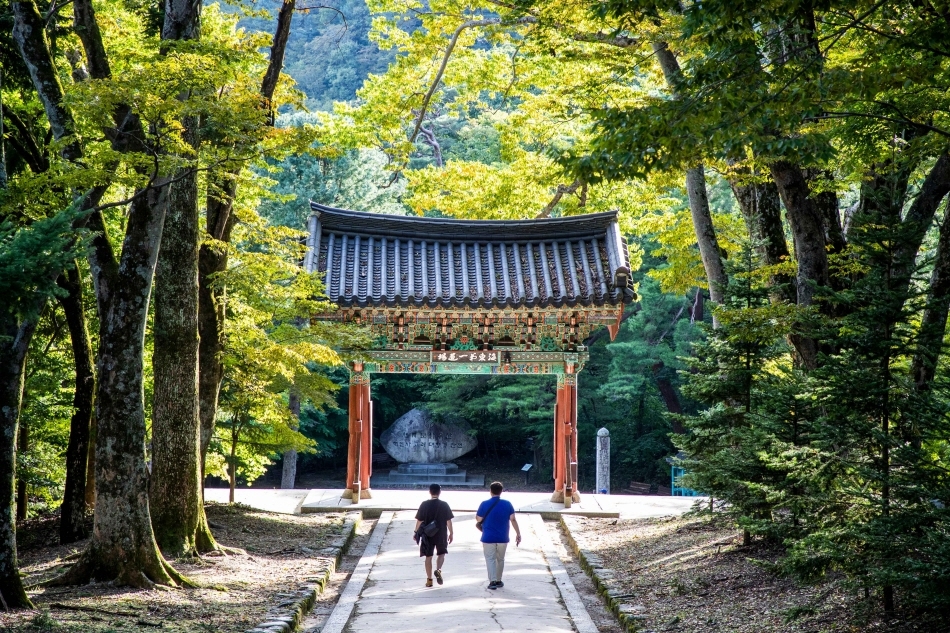 Lush old trees flank the area around Haeinsa Temple’s Iljumun Gate (Credit: Korea Tourism Organization)