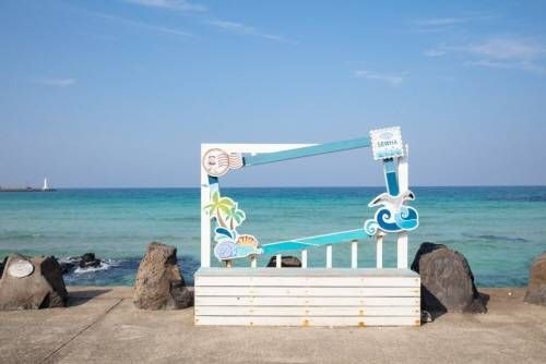 细花海边 