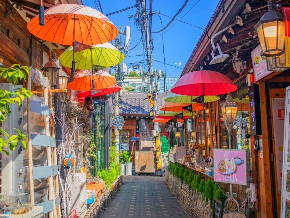 不仅韩国