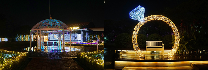 天空公園的夜景