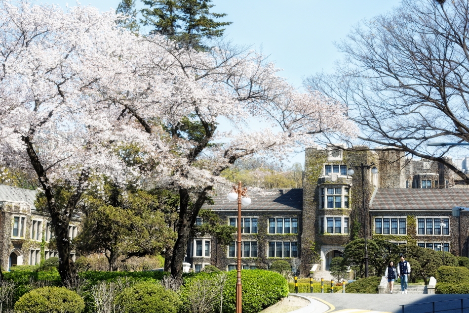 Credit: Yonsei University