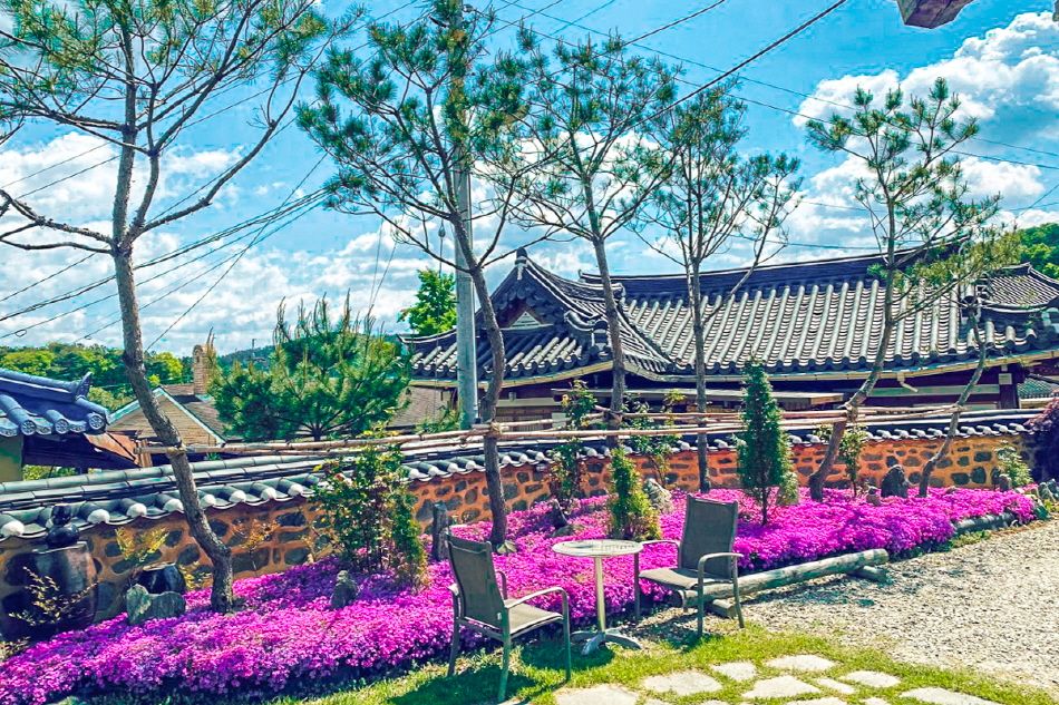 土墙炭烤鸡排