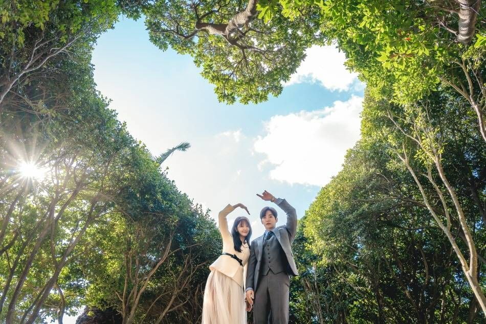 Heart tree photo zone 