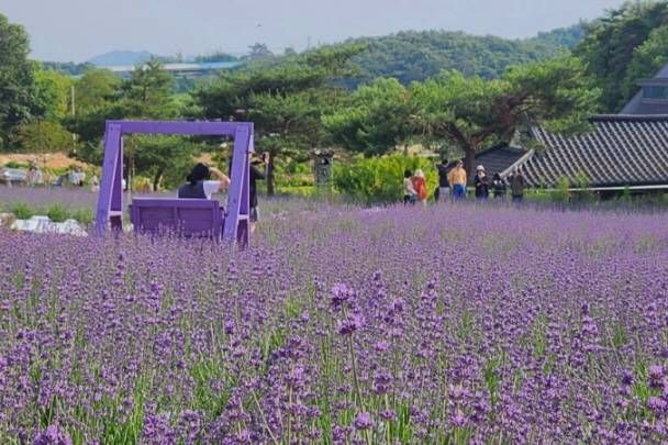 Gochang Blue Farm
