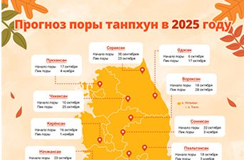 Прогноз поры танпхун в 2025 году