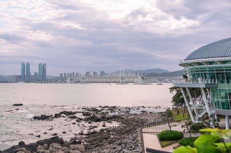 Dongbaekseom Island