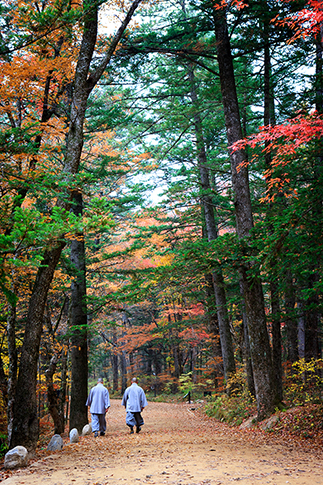 Temple Sangwonsa et for&ecirc;t des arbres Jeonnamu &agrave; Odaesan durant l&rsquo;automne
