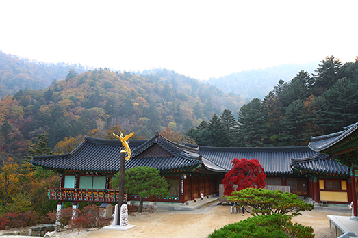 Temple Sangwonsa et for&ecirc;t des arbres Jeonnamu &agrave; Odaesan durant l&rsquo;automne