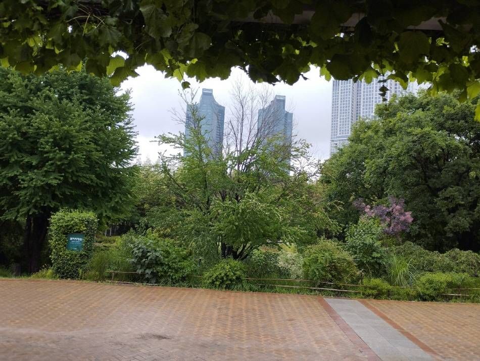 Источник: Марина Петрова