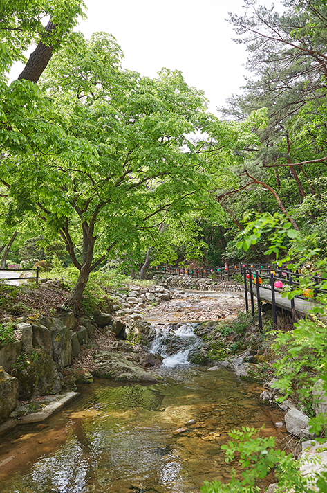 Eunpyeong Trail (Bukhansan Dulle-gil section)  