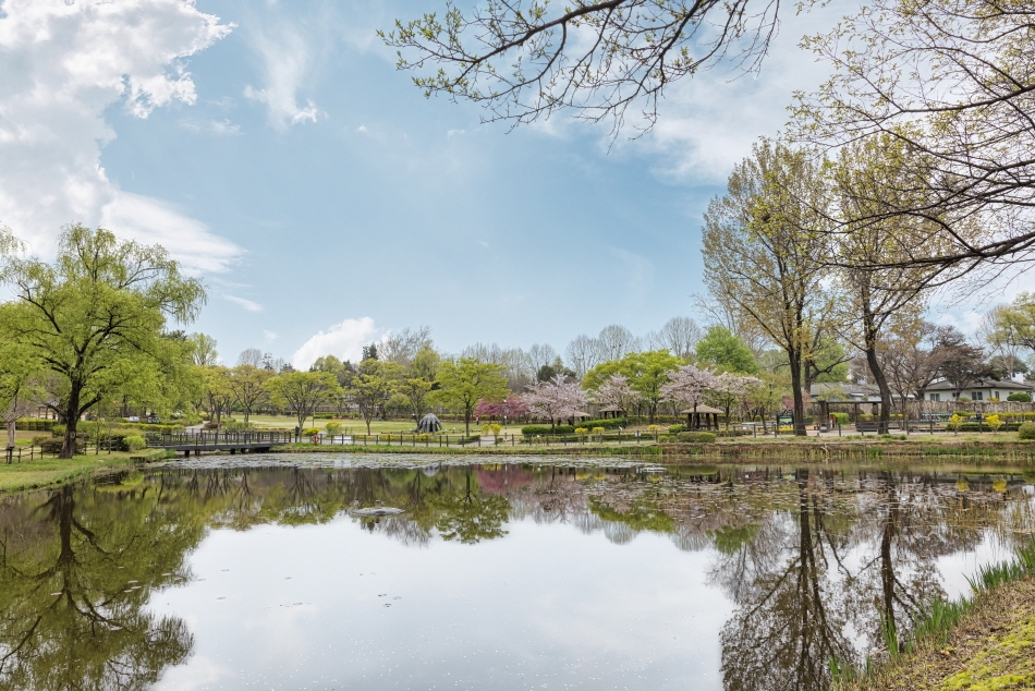 Parque Familiar Yongsan