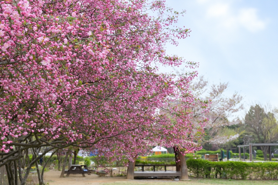 Parque Familiar Yongsan