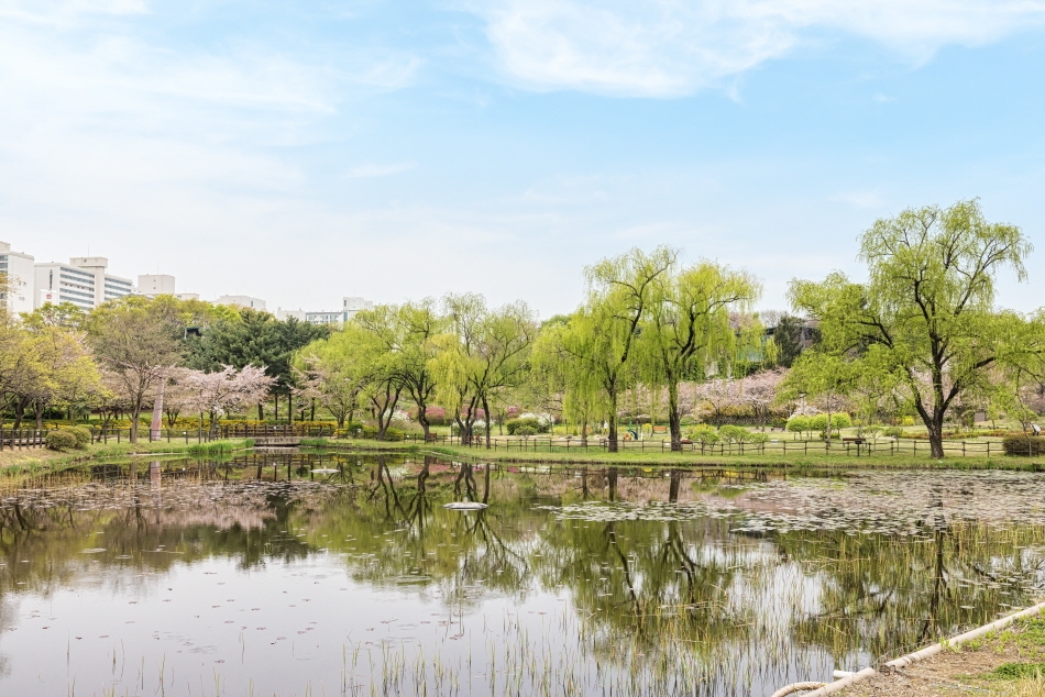 Parque Familiar Yongsan