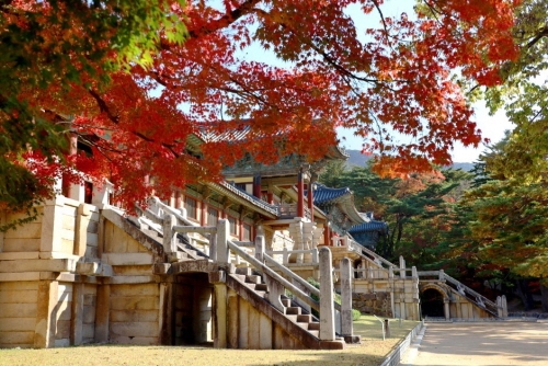 Seoul Forest