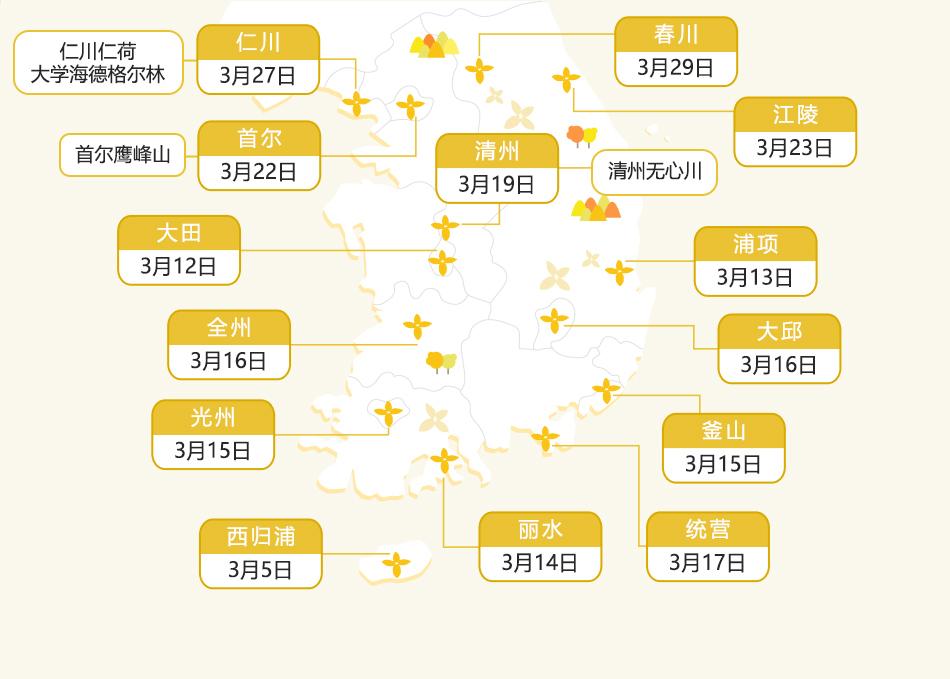 2022年迎春花开花时期