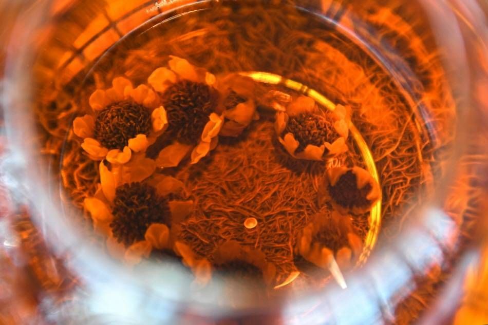 Распускающиеся в теплой воде высушенные бутоны чая &laquo;Эгисольгук&raquo;