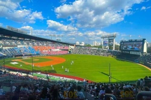 Keine Ahnung? Kein Problem! Spaß im Baseballstadion auch ohne Spielkenntnisse