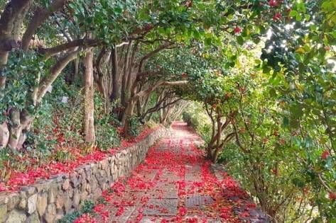 Jangsado Sea Park in Tongyeong