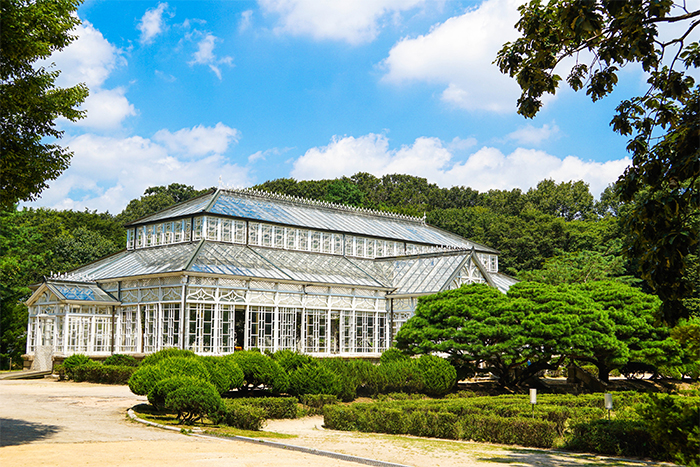 Changgyeonggung Palace’s greenhouse