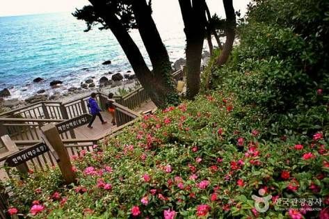 Haeundae Dongbaekseom